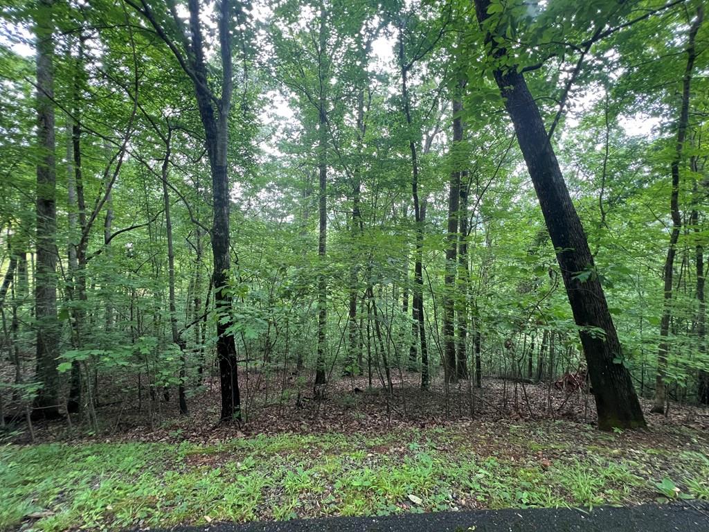 Ash Branch Circle #13 C, HAYESVILLE, North Carolina image 1