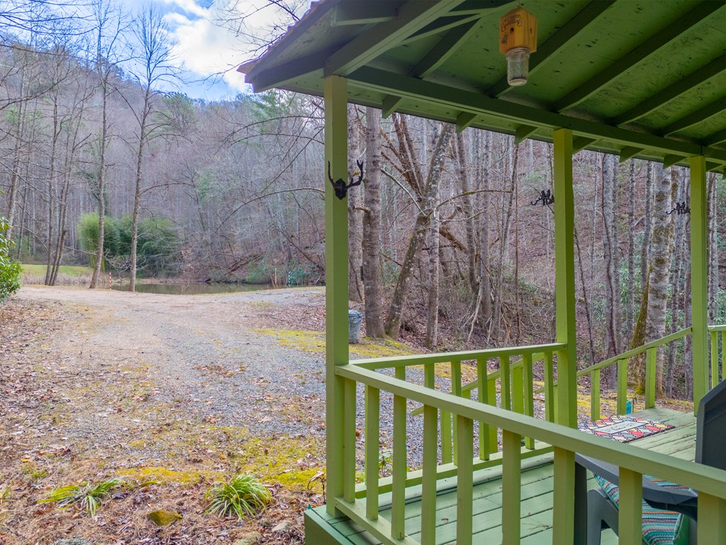 180 Valley Lane, BRYSON CITY, North Carolina image 44