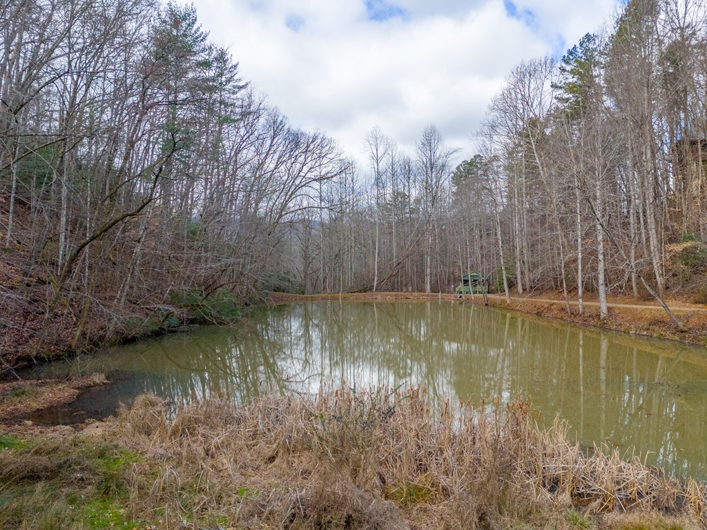 180 Valley Lane, BRYSON CITY, North Carolina image 47