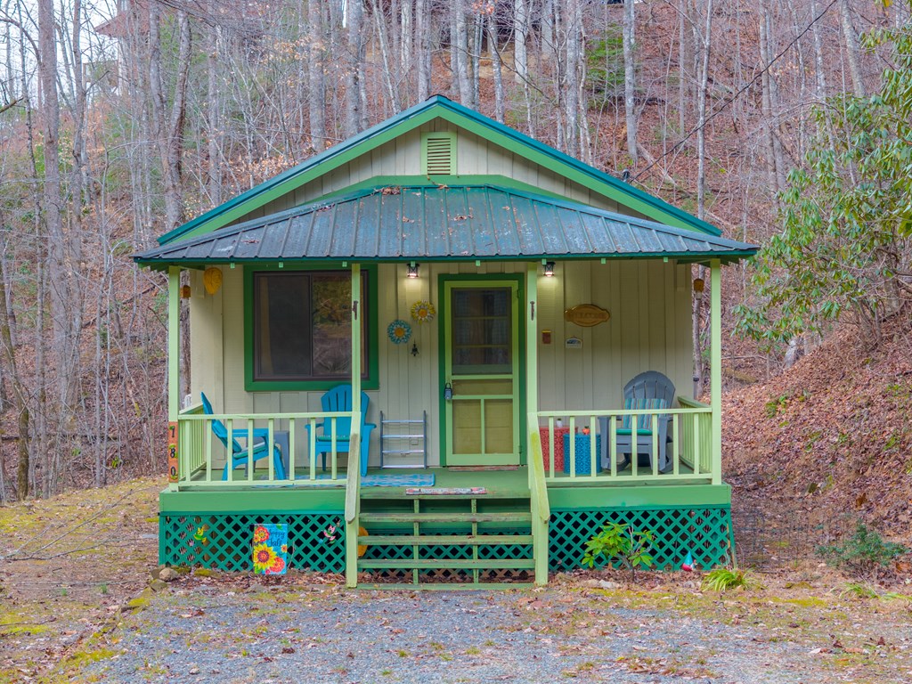 180 Valley Lane, BRYSON CITY, North Carolina image 40