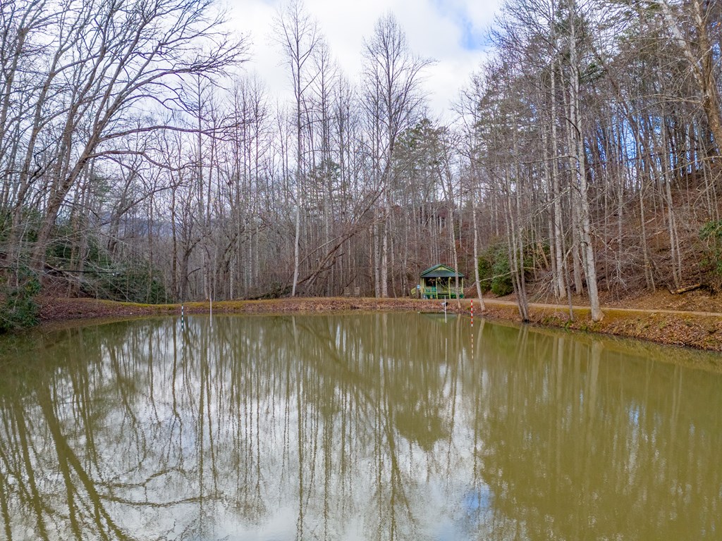 180 Valley Lane, BRYSON CITY, North Carolina image 48