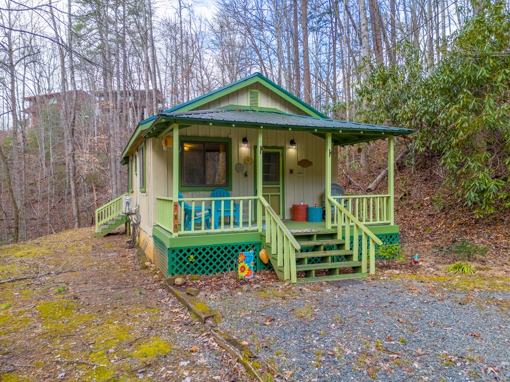 180 Valley Lane, BRYSON CITY, North Carolina image 41