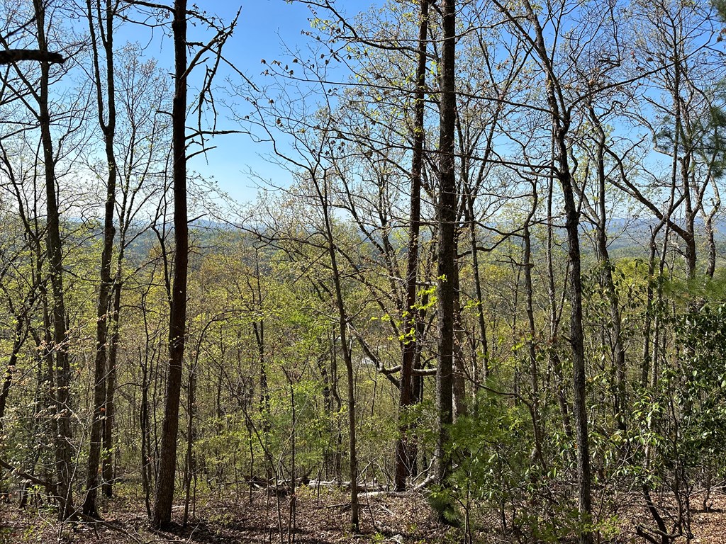 0.69 Canterbury Road #43, MURPHY, North Carolina image 6