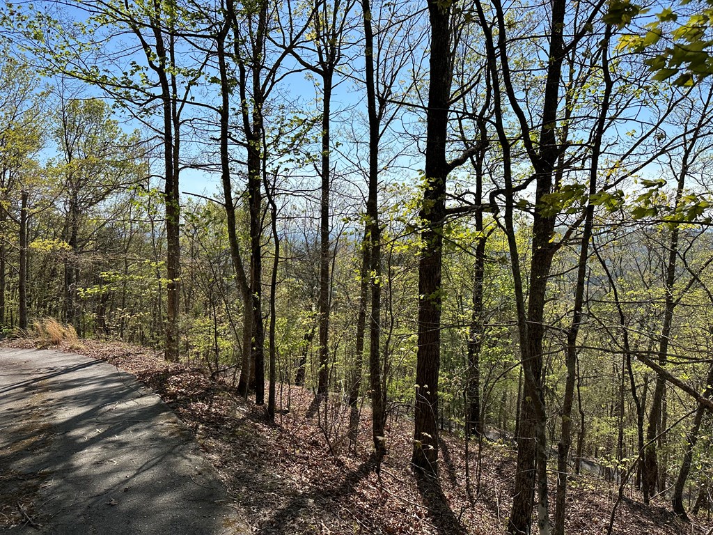 0.69 Canterbury Road #43, MURPHY, North Carolina image 4