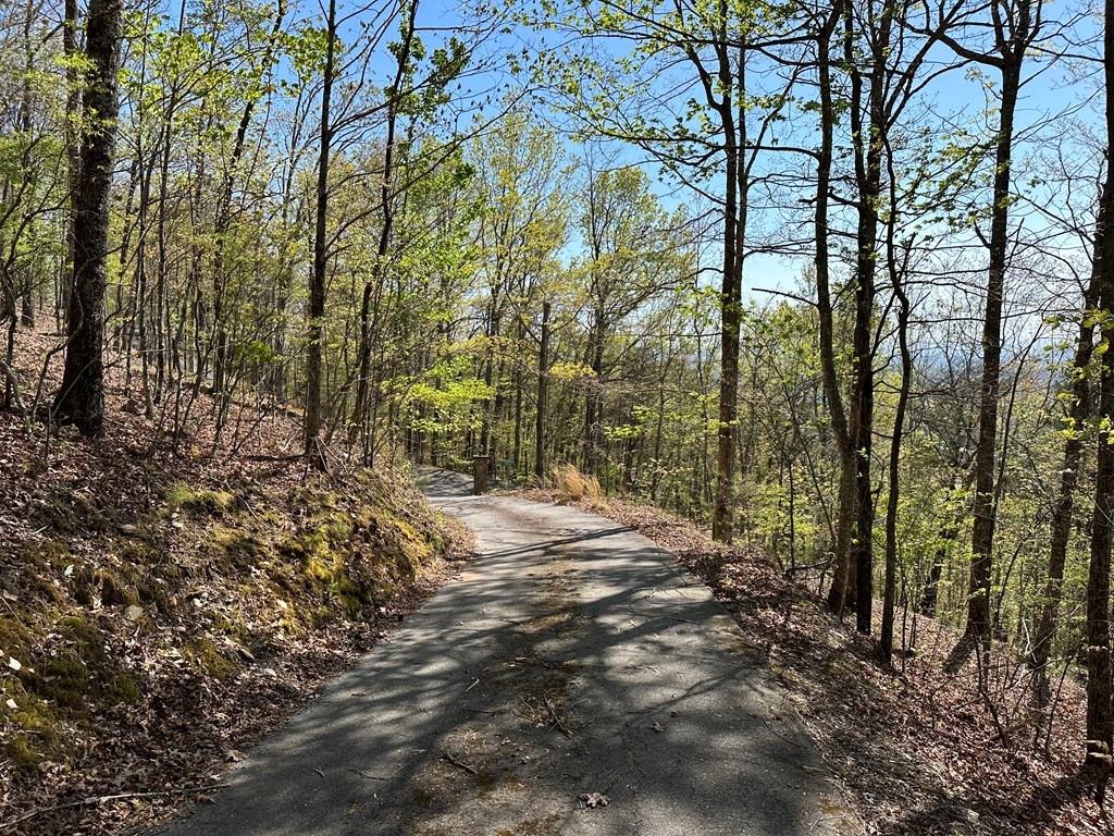 0.69 Canterbury Road #43, MURPHY, North Carolina image 3