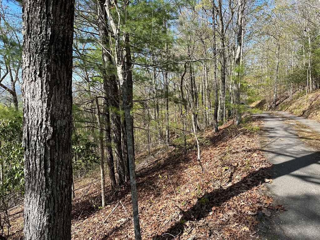 0.69 Canterbury Road #43, MURPHY, North Carolina image 8