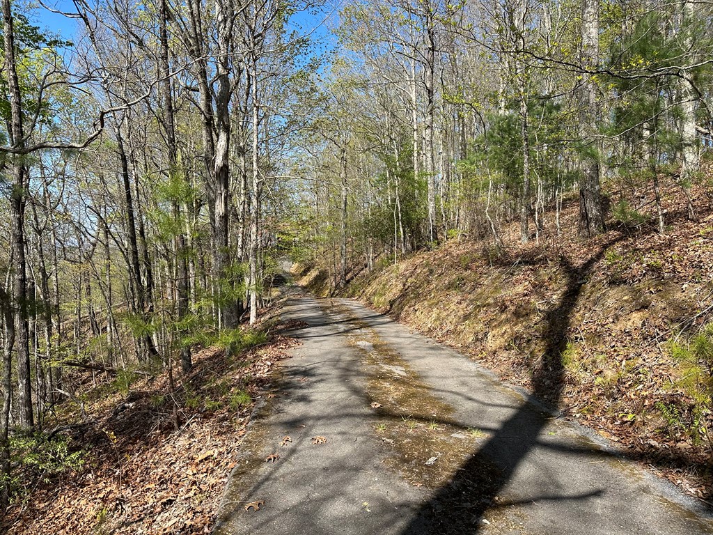 0.69 Canterbury Road #43, MURPHY, North Carolina image 9