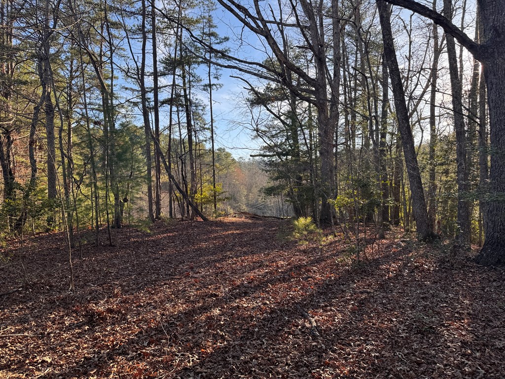 00 Martins Creek Road, MURPHY, North Carolina image 21