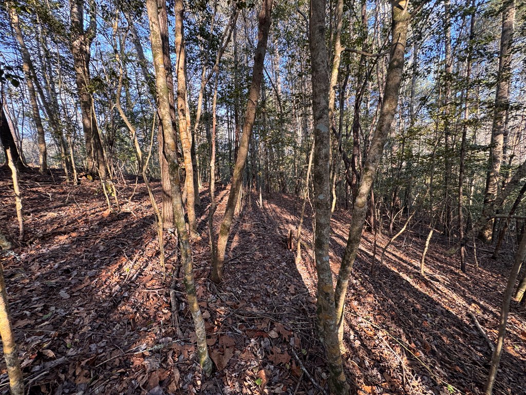00 Martins Creek Road, MURPHY, North Carolina image 15