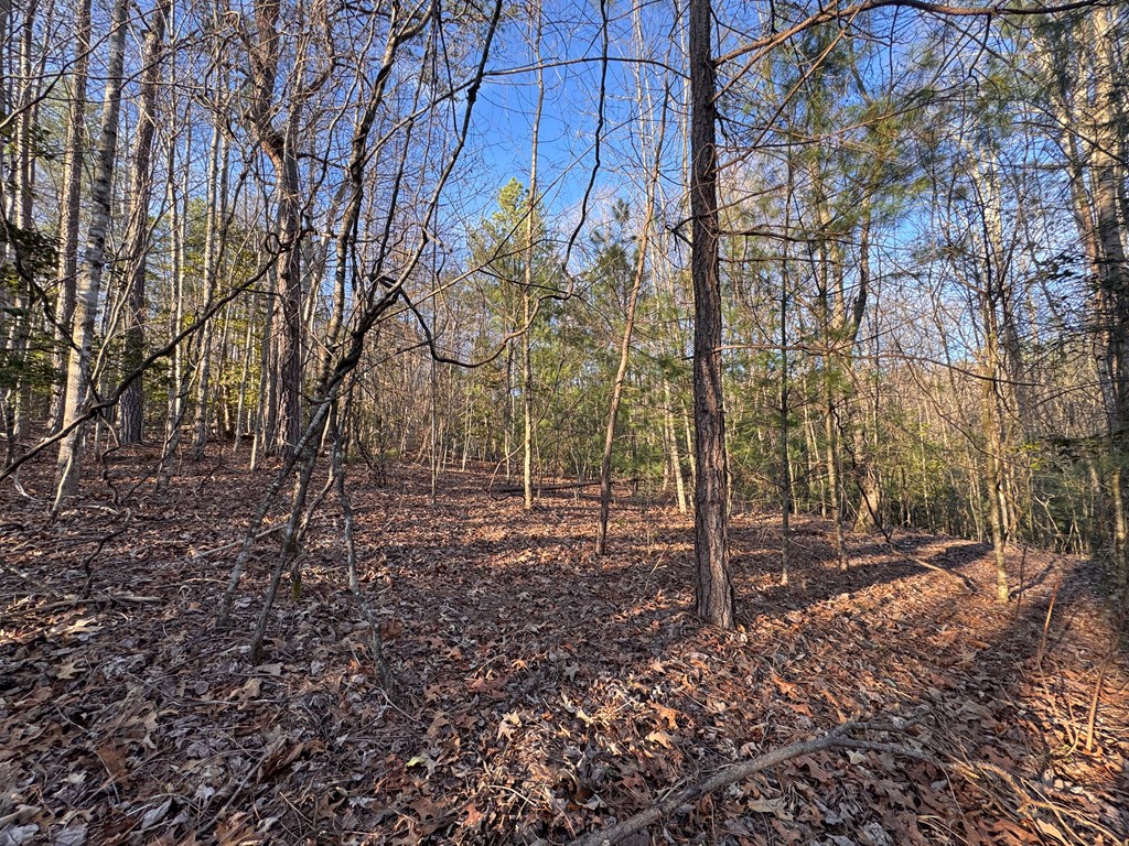 00 Martins Creek Road, MURPHY, North Carolina image 24