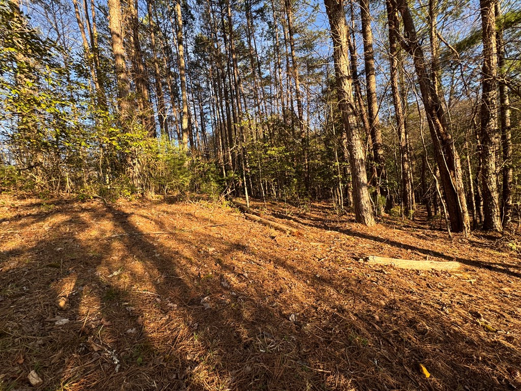 00 Martins Creek Road, MURPHY, North Carolina image 31