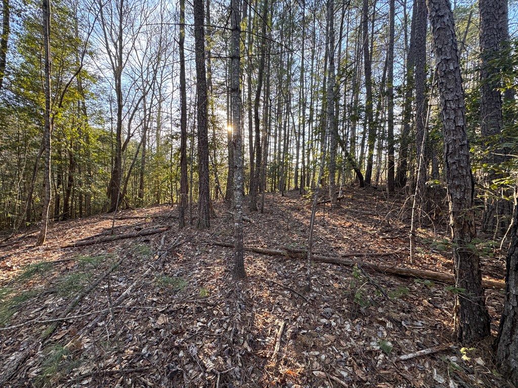 00 Martins Creek Road, MURPHY, North Carolina image 20