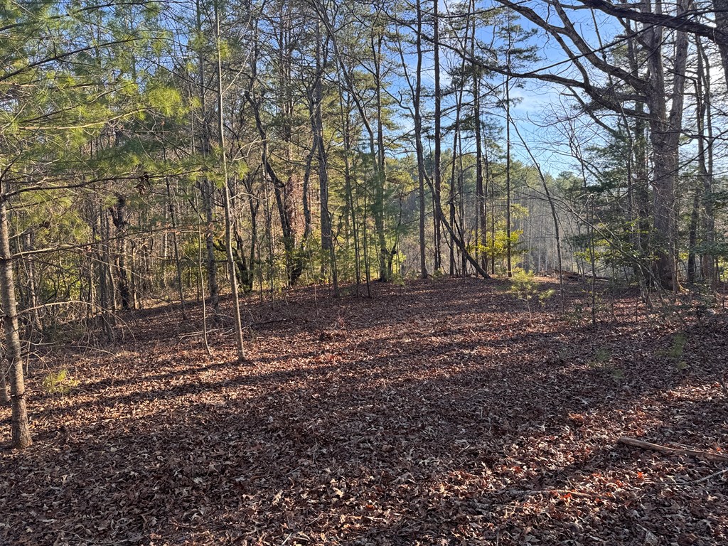 00 Martins Creek Road, MURPHY, North Carolina image 5