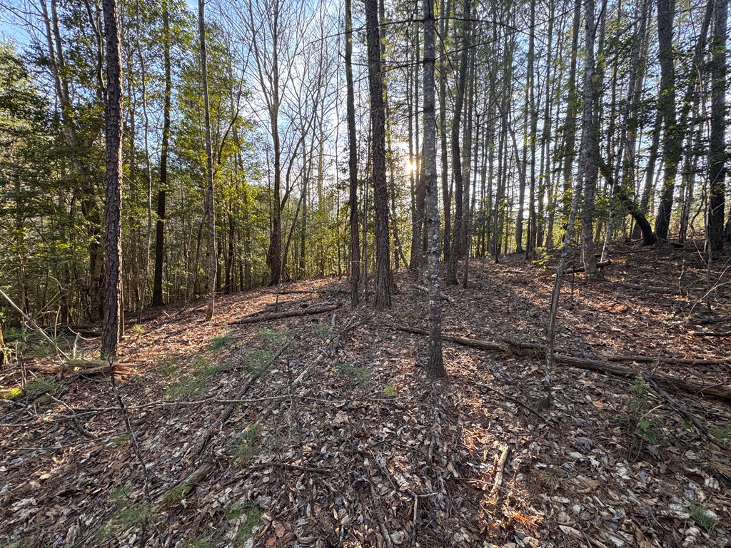 00 Martins Creek Road, MURPHY, North Carolina image 19