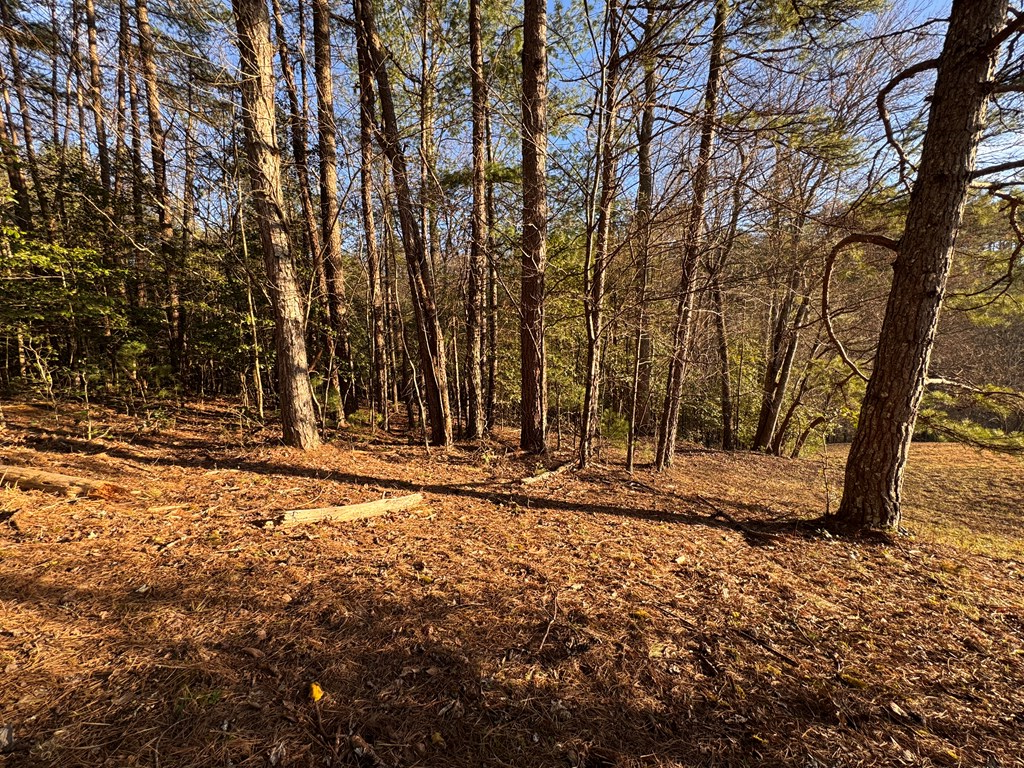 00 Martins Creek Road, MURPHY, North Carolina image 33
