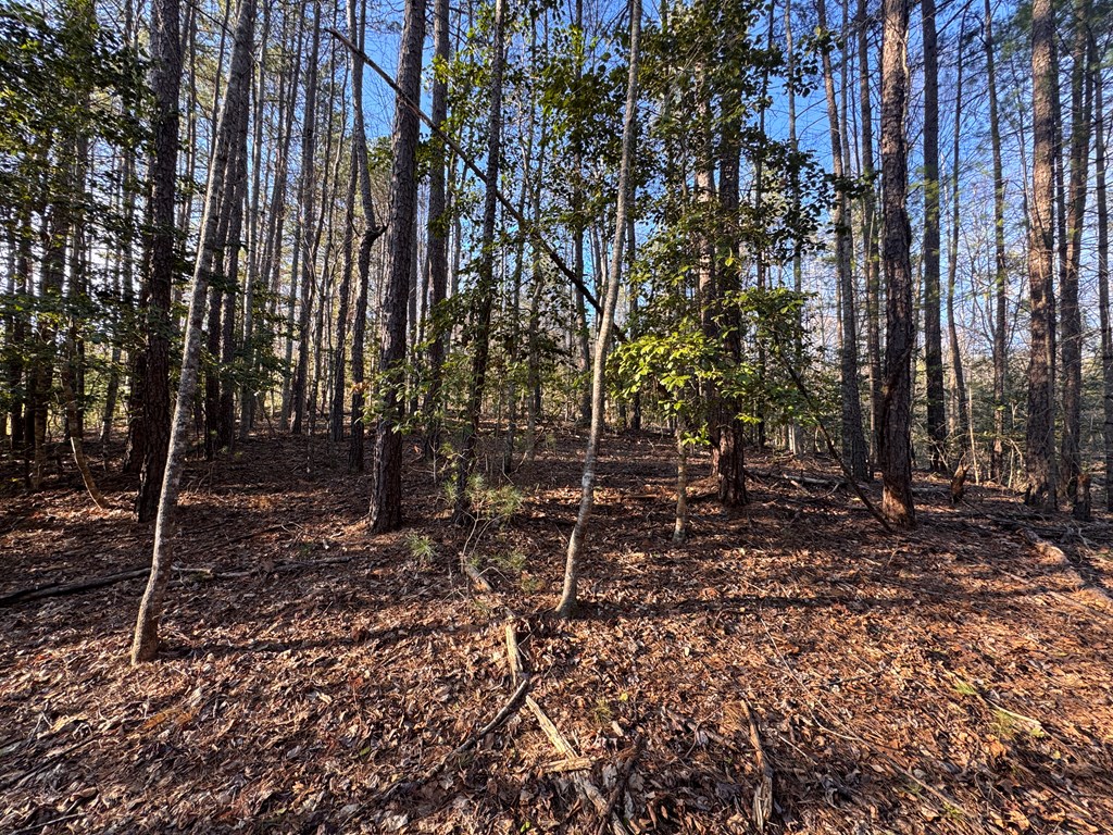 00 Martins Creek Road, MURPHY, North Carolina image 18