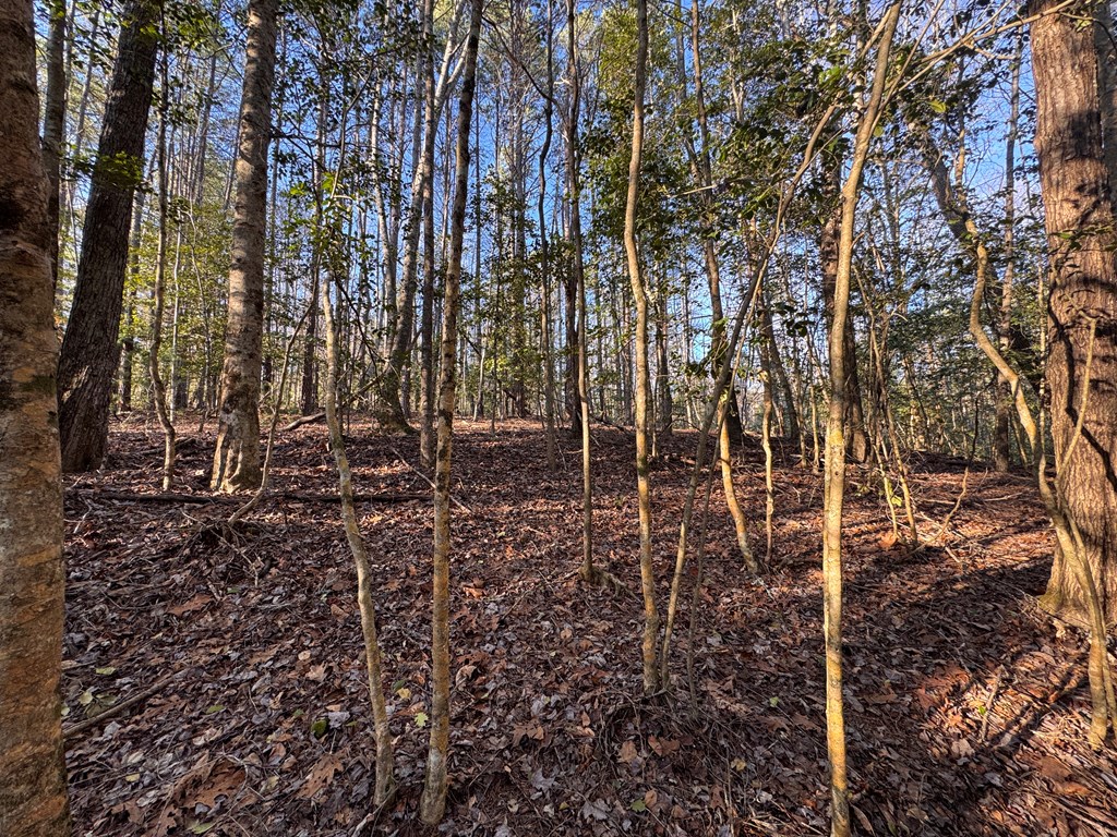 00 Martins Creek Road, MURPHY, North Carolina image 16