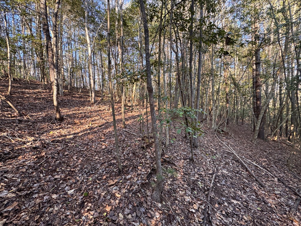 00 Martins Creek Road, MURPHY, North Carolina image 12