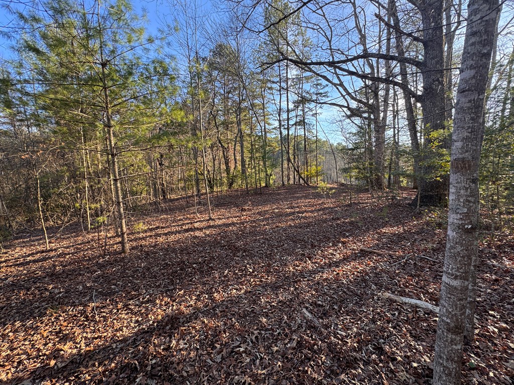 00 Martins Creek Road, MURPHY, North Carolina image 6