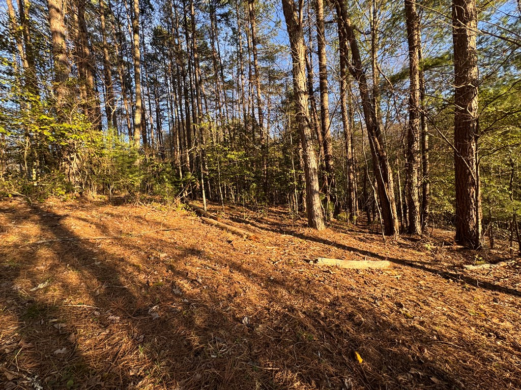 00 Martins Creek Road, MURPHY, North Carolina image 32