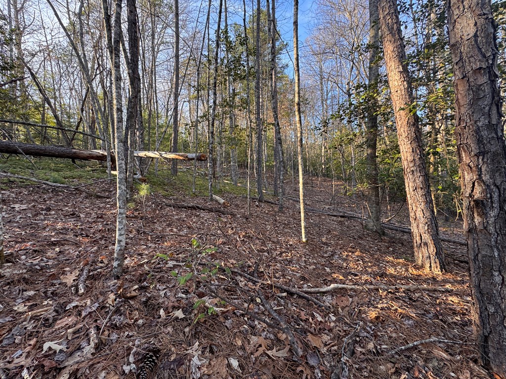 00 Martins Creek Road, MURPHY, North Carolina image 26