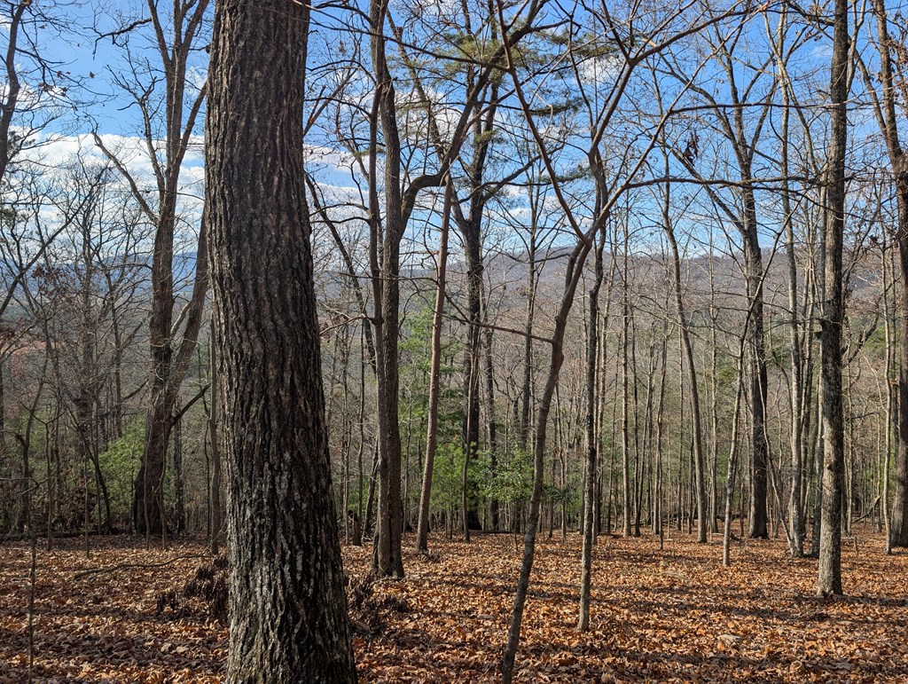902 Mountain Top Drive - Photo 3