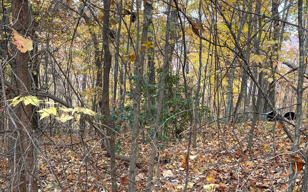 Lot 24B Grandview Drive #24B, HAYESVILLE, North Carolina image 32