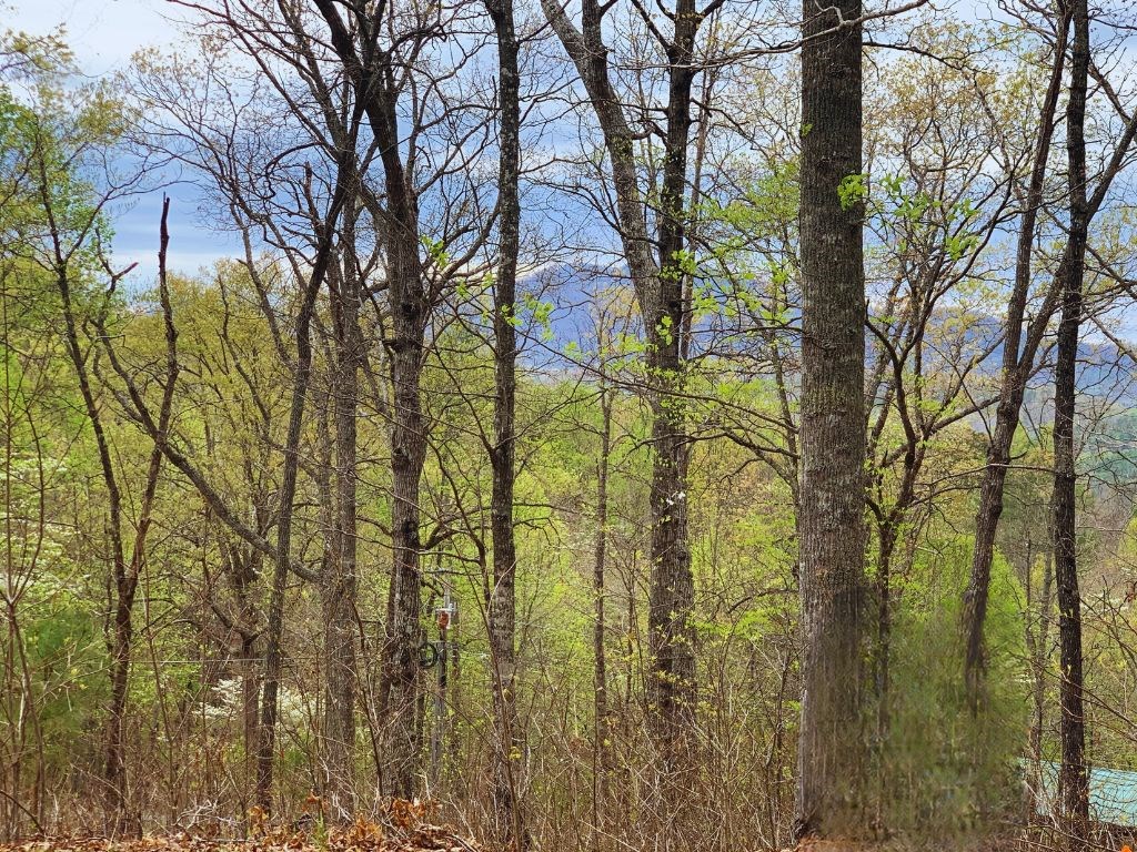 Lot 65 Timberline Drive #65, YOUNG HARRIS, Georgia image 7
