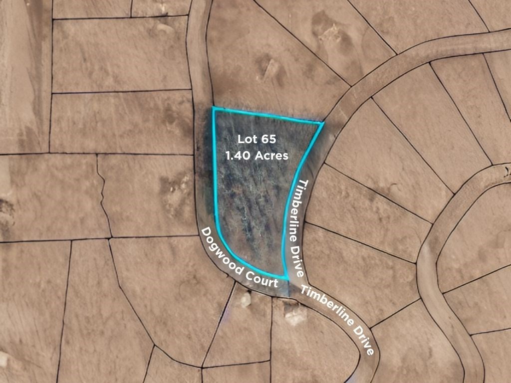 Lot 65 Timberline Drive #65, YOUNG HARRIS, Georgia image 2
