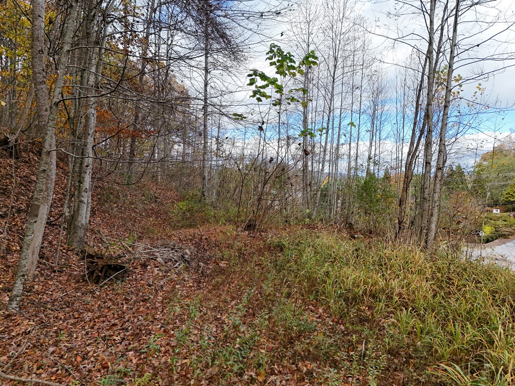 1.6 AC Highway 76, HIAWASSEE, Georgia image 12