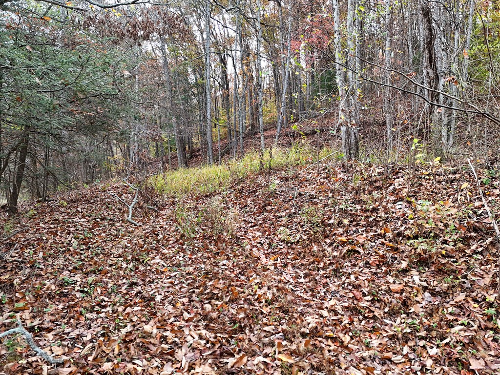 1.6 AC Highway 76, HIAWASSEE, Georgia image 9