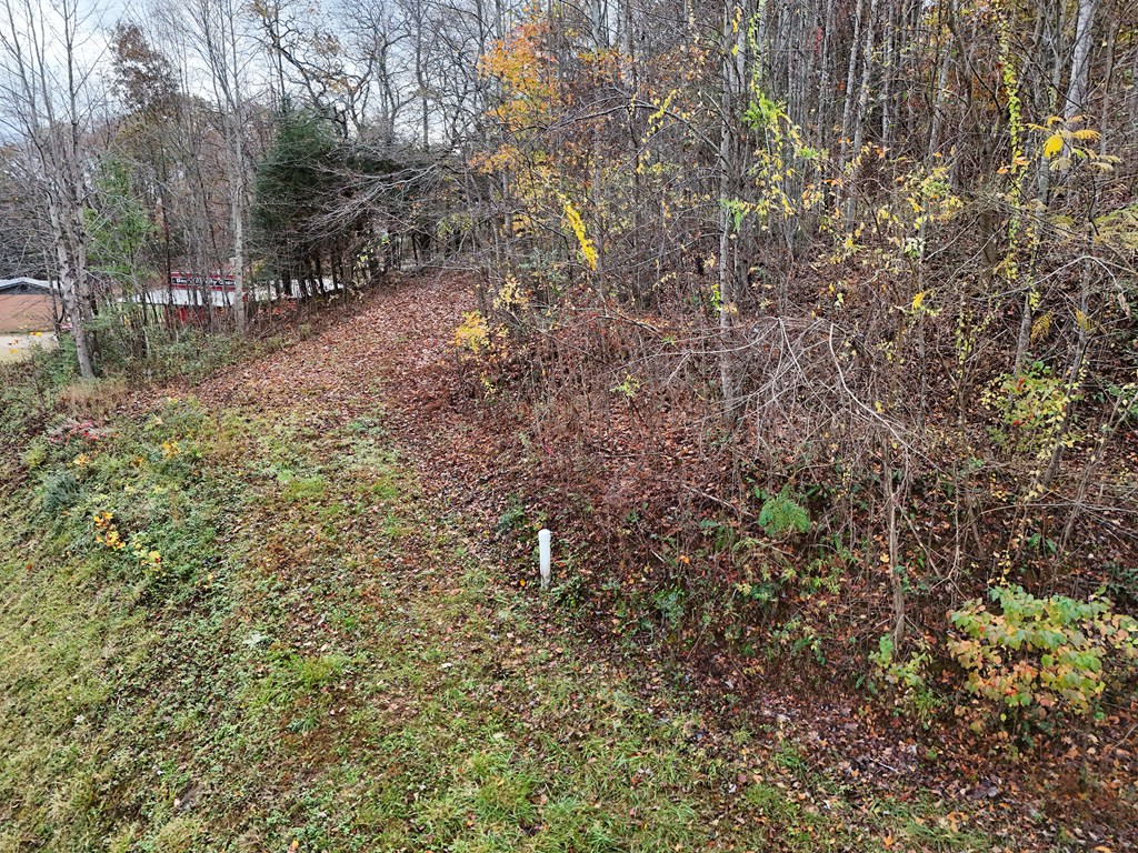 1.6 AC Highway 76, HIAWASSEE, Georgia image 7