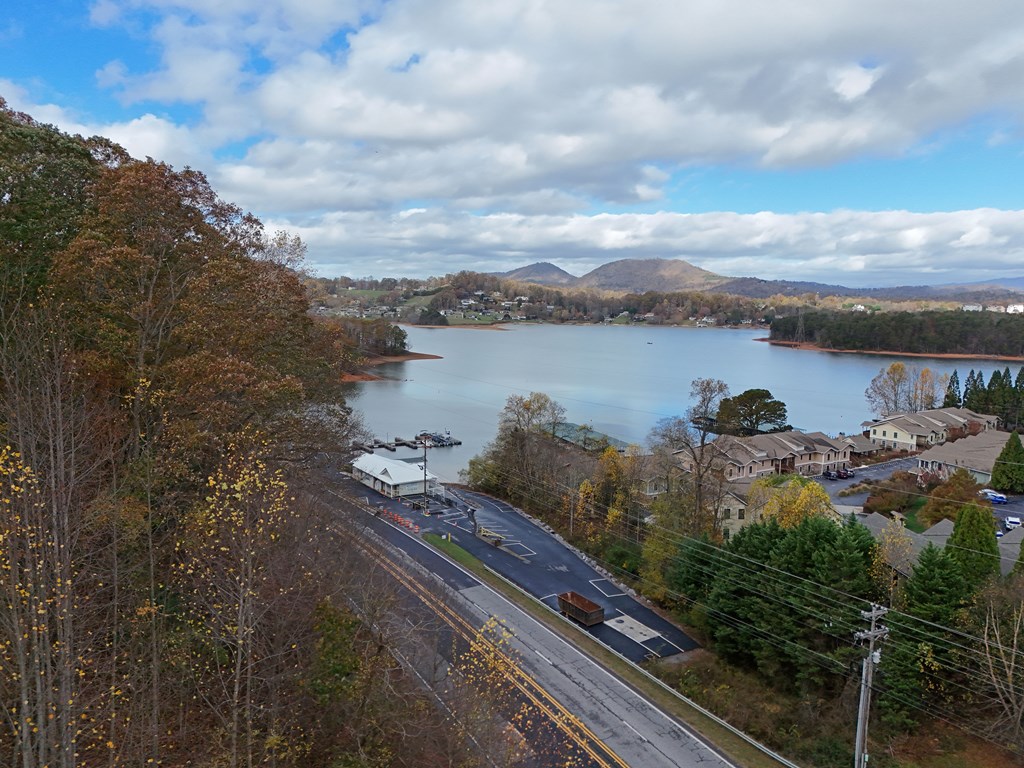 1.6 AC Highway 76, HIAWASSEE, Georgia image 13