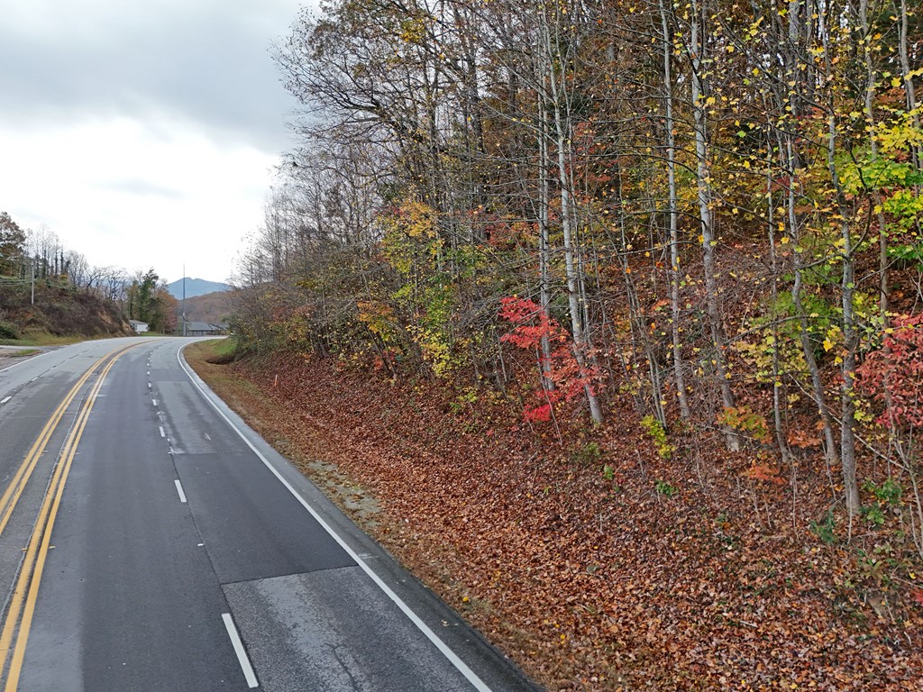 1.6 AC Highway 76, HIAWASSEE, Georgia image 4