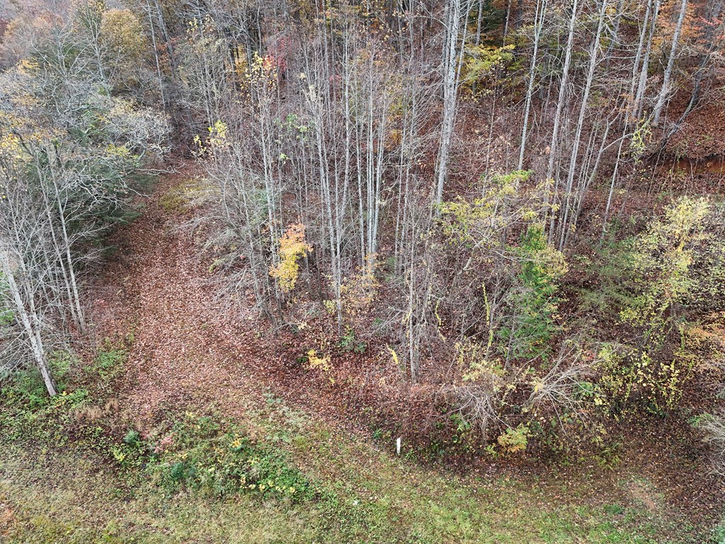 1.6 AC Highway 76, HIAWASSEE, Georgia image 6