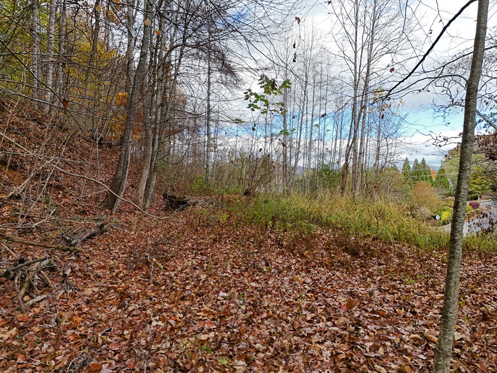 1.6 AC Highway 76, HIAWASSEE, Georgia image 11