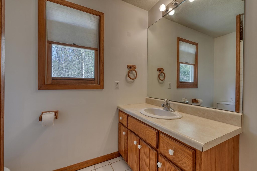 1493 Greasy Creek Rd, BRASSTOWN, North Carolina image 21
