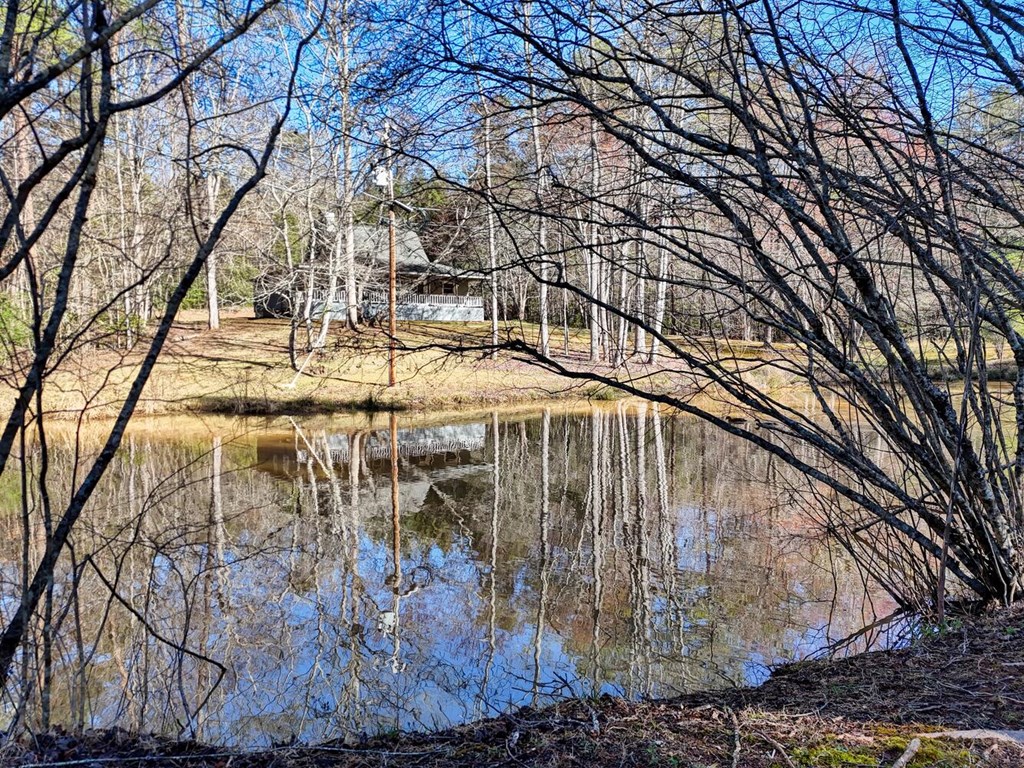 1493 Greasy Creek Rd, BRASSTOWN, North Carolina image 2