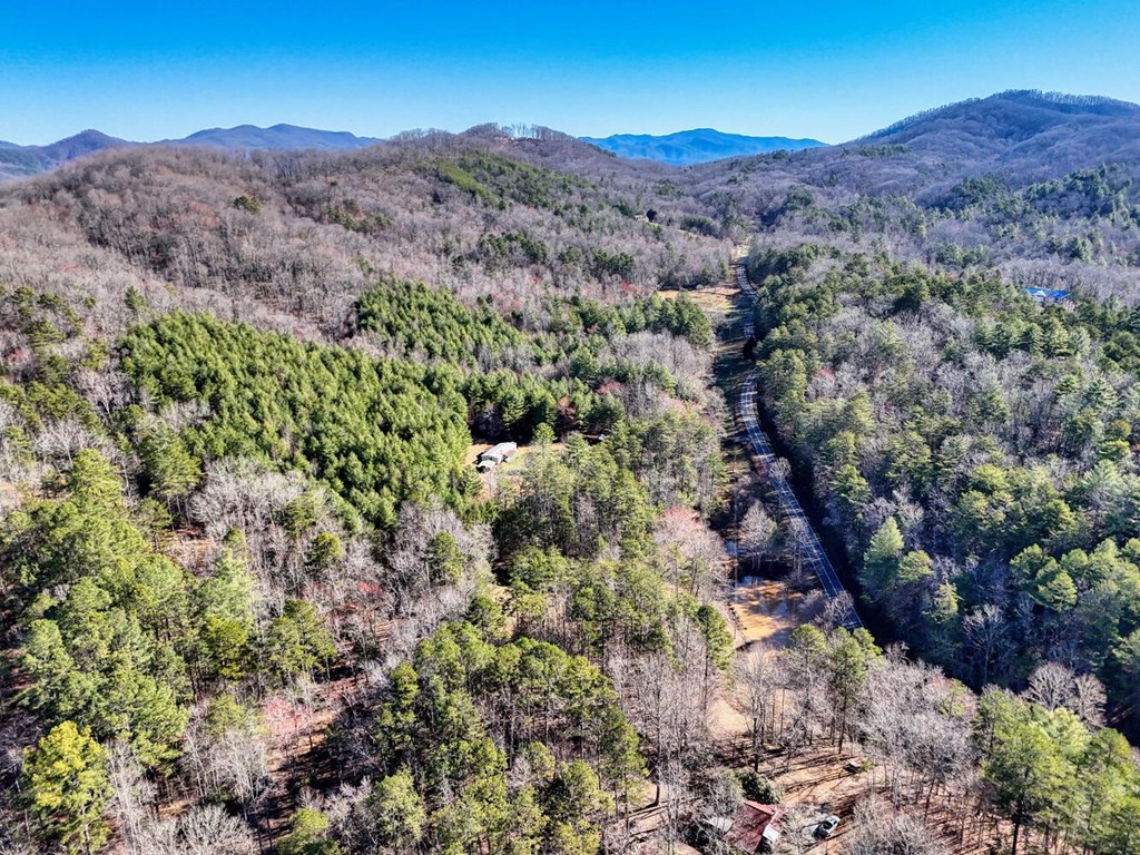 1493 Greasy Creek Rd, BRASSTOWN, North Carolina image 45