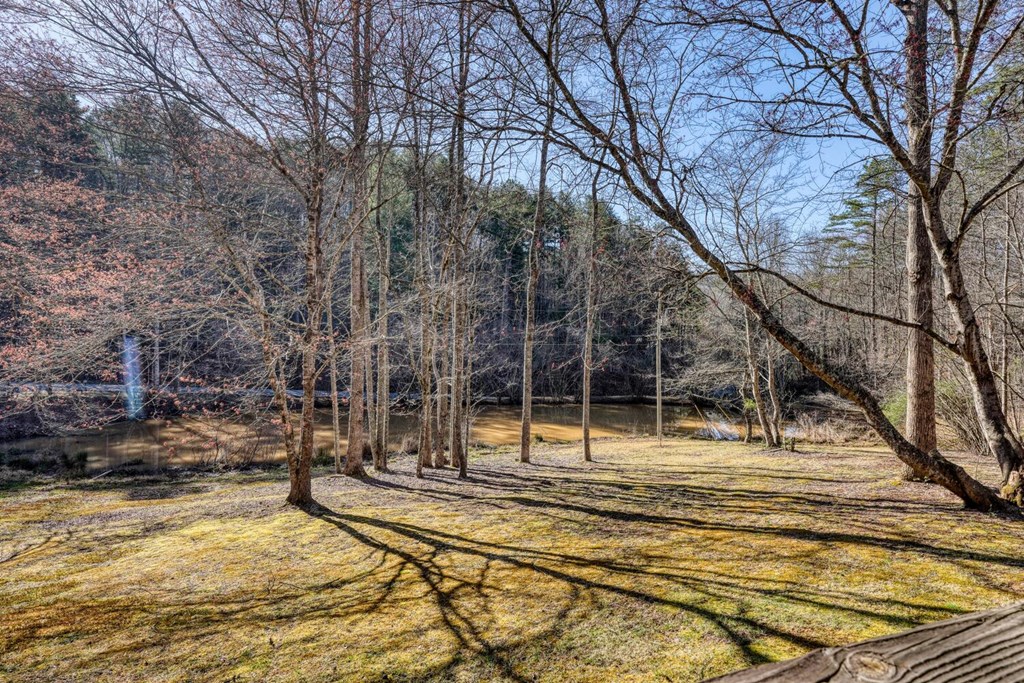 1493 Greasy Creek Rd, BRASSTOWN, North Carolina image 35
