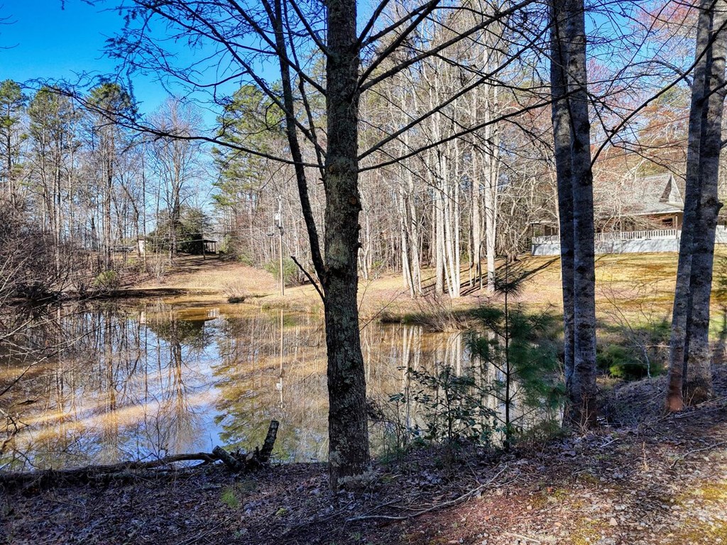 1493 Greasy Creek Rd, BRASSTOWN, North Carolina image 38