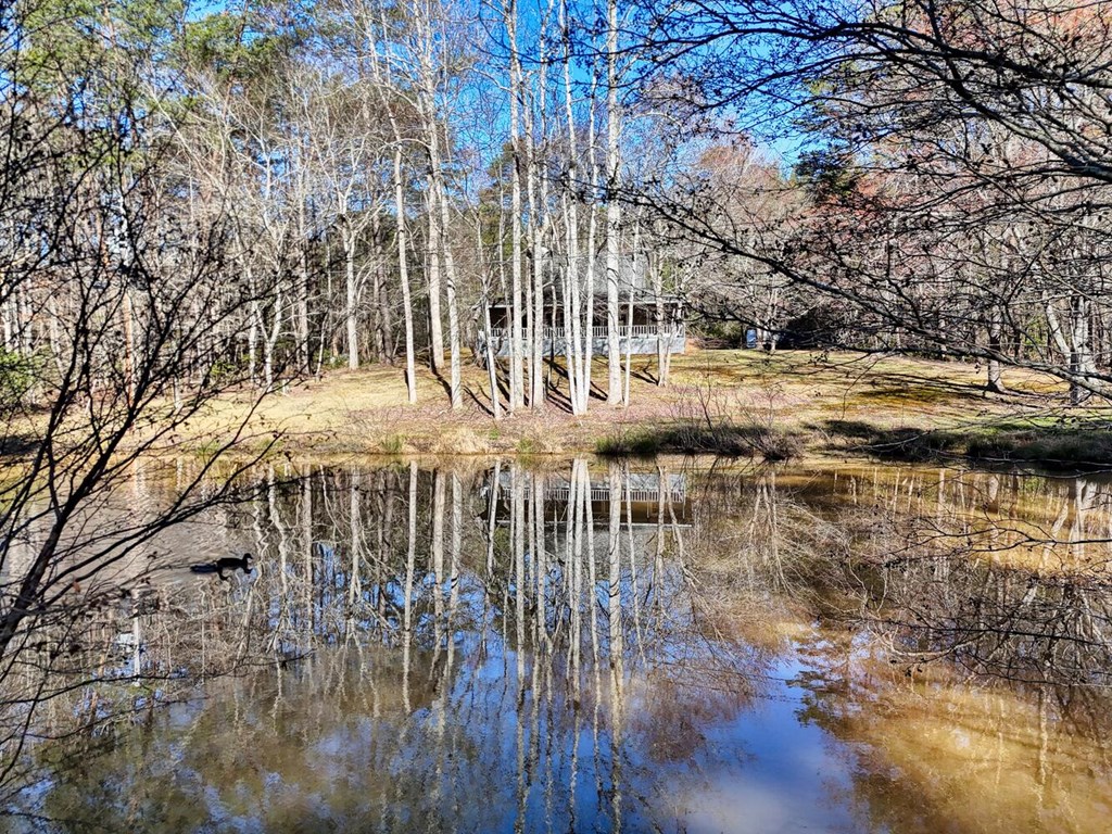 1493 Greasy Creek Rd, BRASSTOWN, North Carolina image 41
