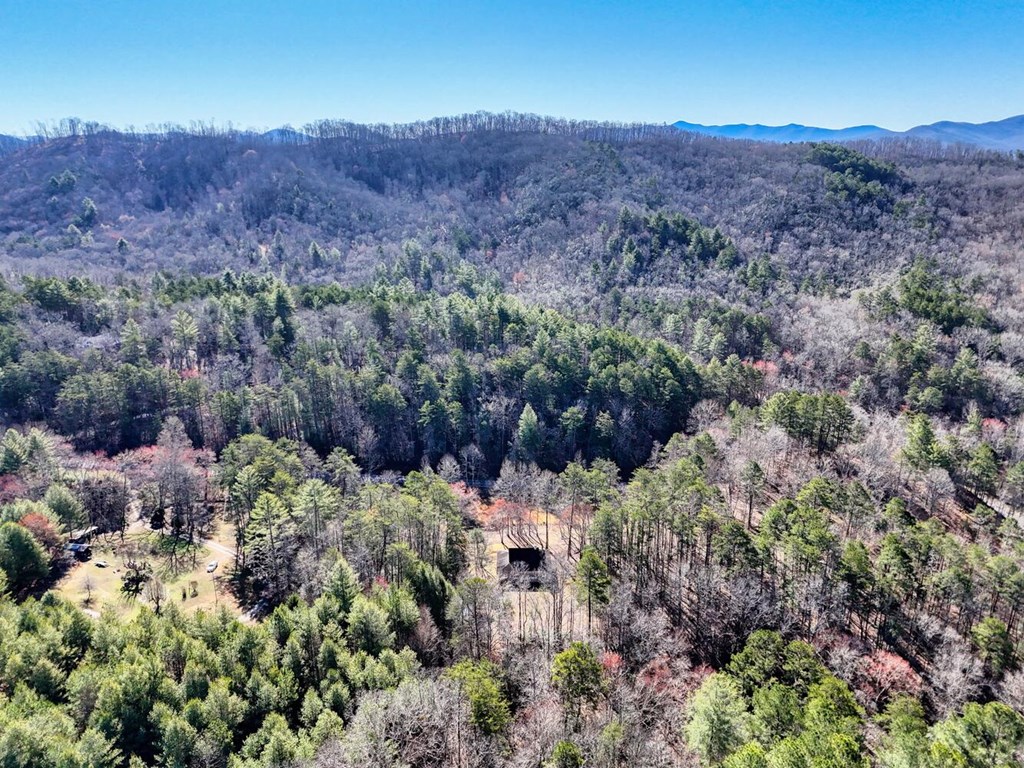 1493 Greasy Creek Rd, BRASSTOWN, North Carolina image 44