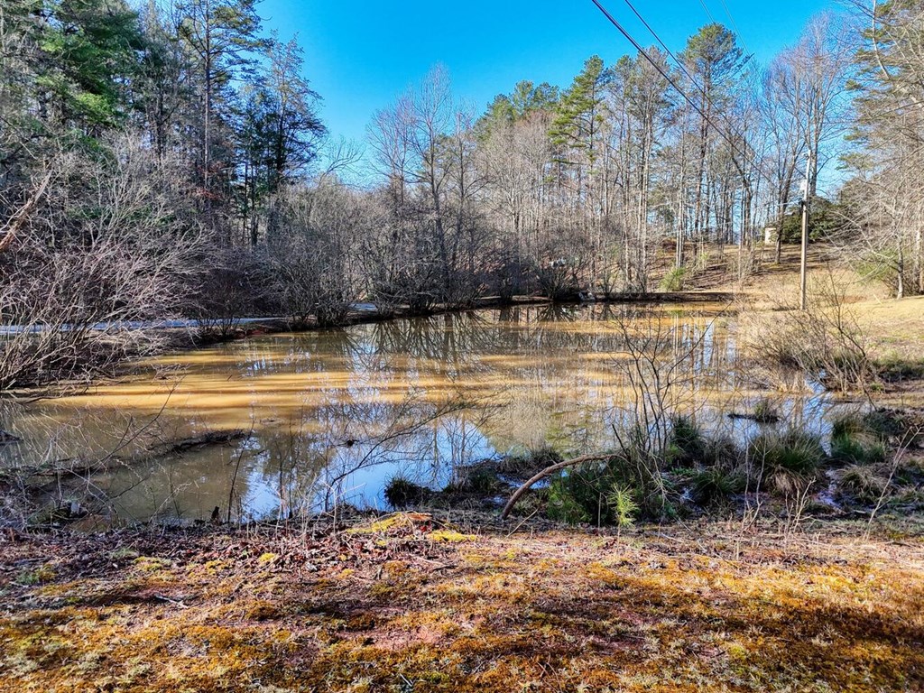 1493 Greasy Creek Rd, BRASSTOWN, North Carolina image 37