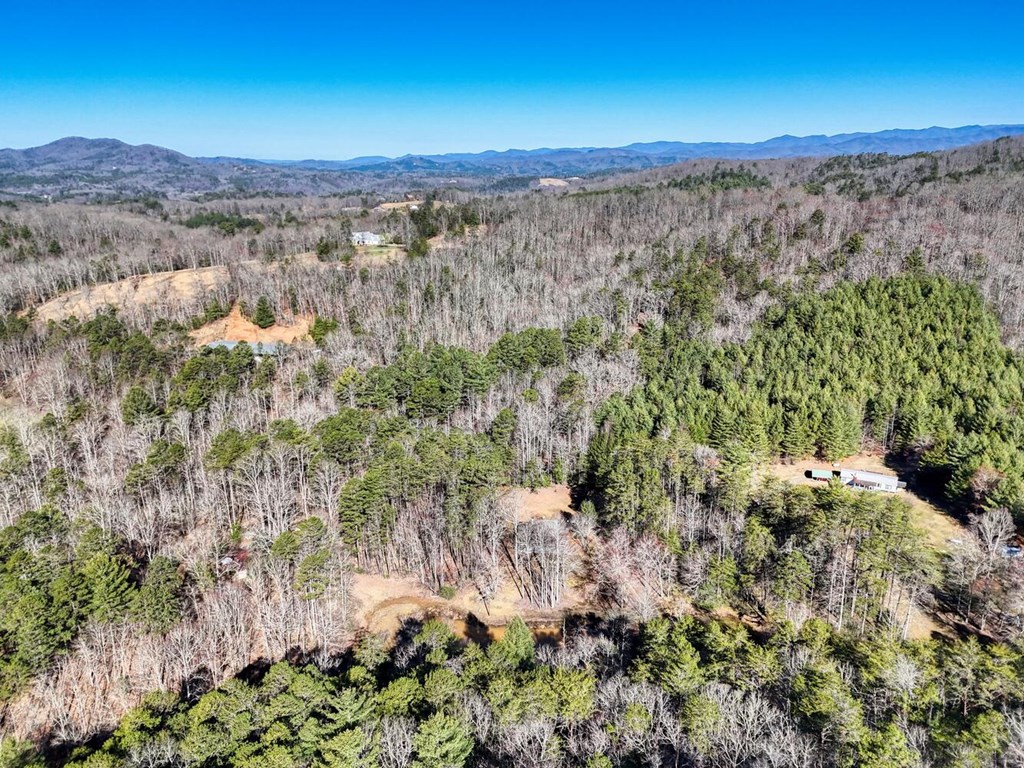 1493 Greasy Creek Rd, BRASSTOWN, North Carolina image 46