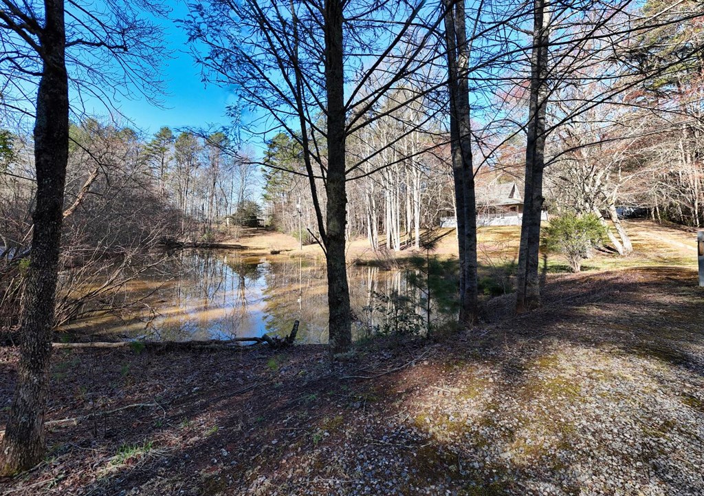 1493 Greasy Creek Rd, BRASSTOWN, North Carolina image 39