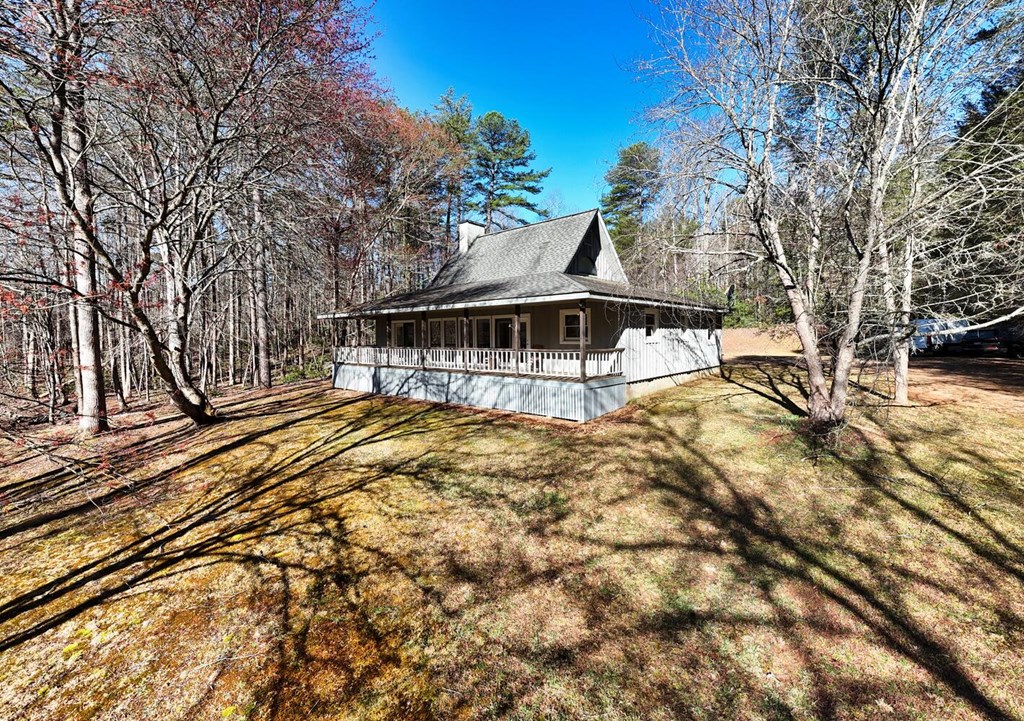 1493 Greasy Creek Rd, BRASSTOWN, North Carolina image 3