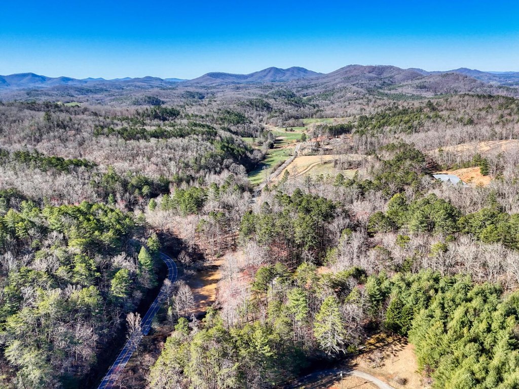 1493 Greasy Creek Rd, BRASSTOWN, North Carolina image 43