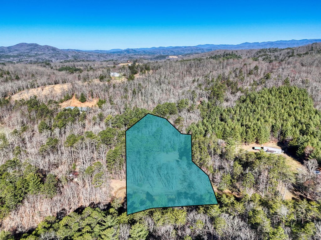 1493 Greasy Creek Rd, BRASSTOWN, North Carolina image 47
