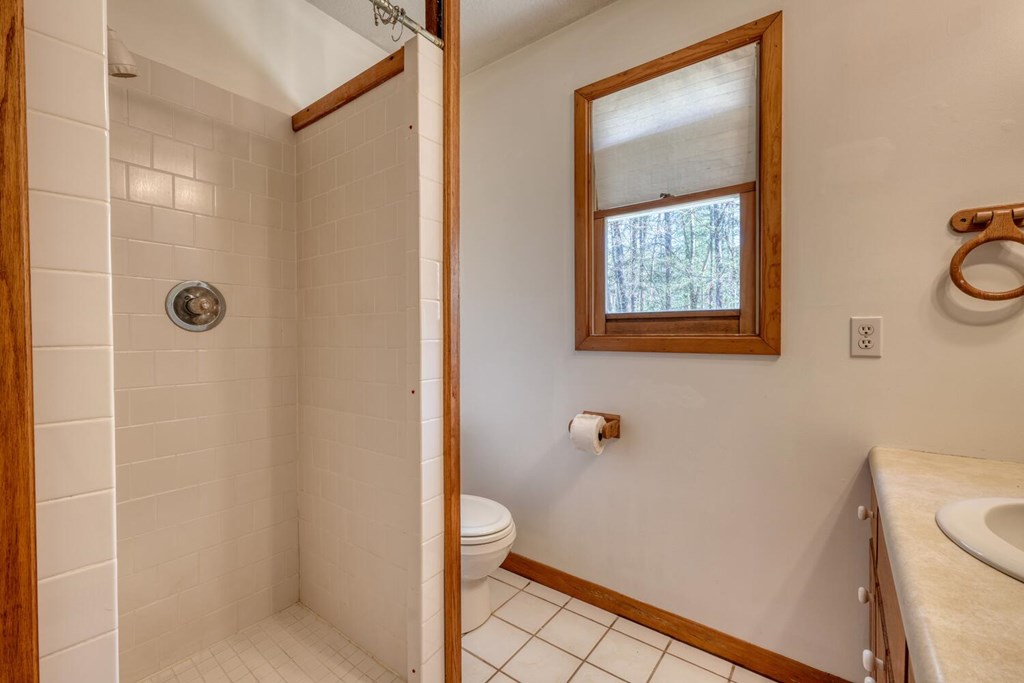 1493 Greasy Creek Rd, BRASSTOWN, North Carolina image 22